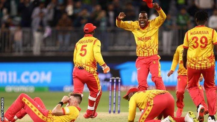 T20 Africa Cup: Zimbabwe coach Dave Houghton calls for expanded competition T20 Africa Cup: Zimbabwe coach Dave Houghton calls for expanded competition