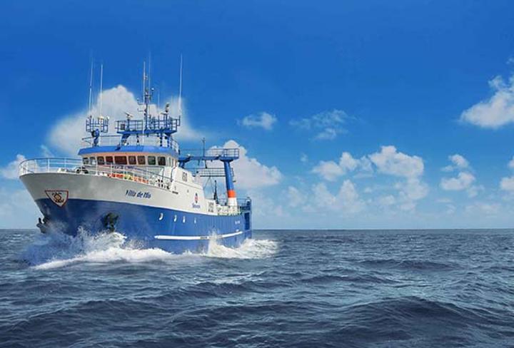 Seawork, Green Rose in incestuous fish fight Seawork, Green Rose in incestuous fish fight