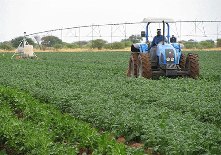 Good prospects for agri sector in 2023 Good prospects for agri sector in 2023