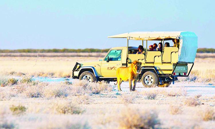 Increasing visitor complaints at Etosha concerns ministry Increasing visitor complaints at Etosha concerns ministry