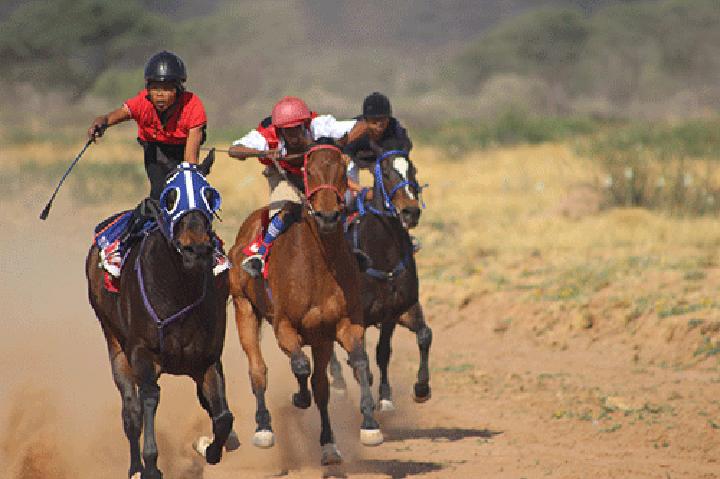 Top horses to battle it out Saturday…as Debmarine comes on board as sponsor Top horses to battle it out Saturday…as Debmarine comes on board as sponsor