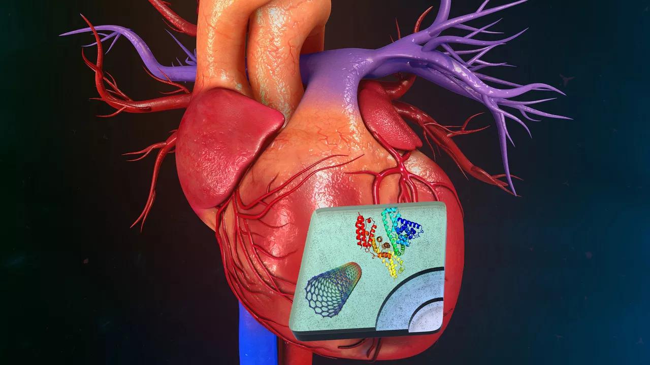 Way of the Future: Researchers Use AI, Chest X-Rays to Predict Heart Attacks And Strokes Way of the Future: Researchers Use AI, Chest X-Rays to Predict Heart Attacks And Strokes