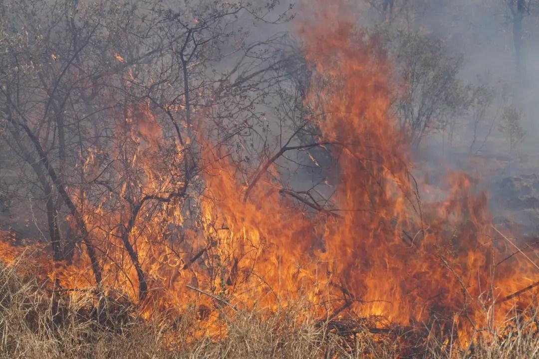 Veldt fires encircle Windhoek in smoke fumes Veldt fires encircle Windhoek in smoke fumes