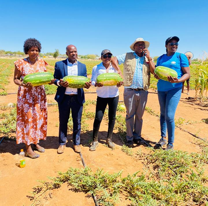 Fransfontein garden grows in leaps and bounds Fransfontein garden grows in leaps and bounds