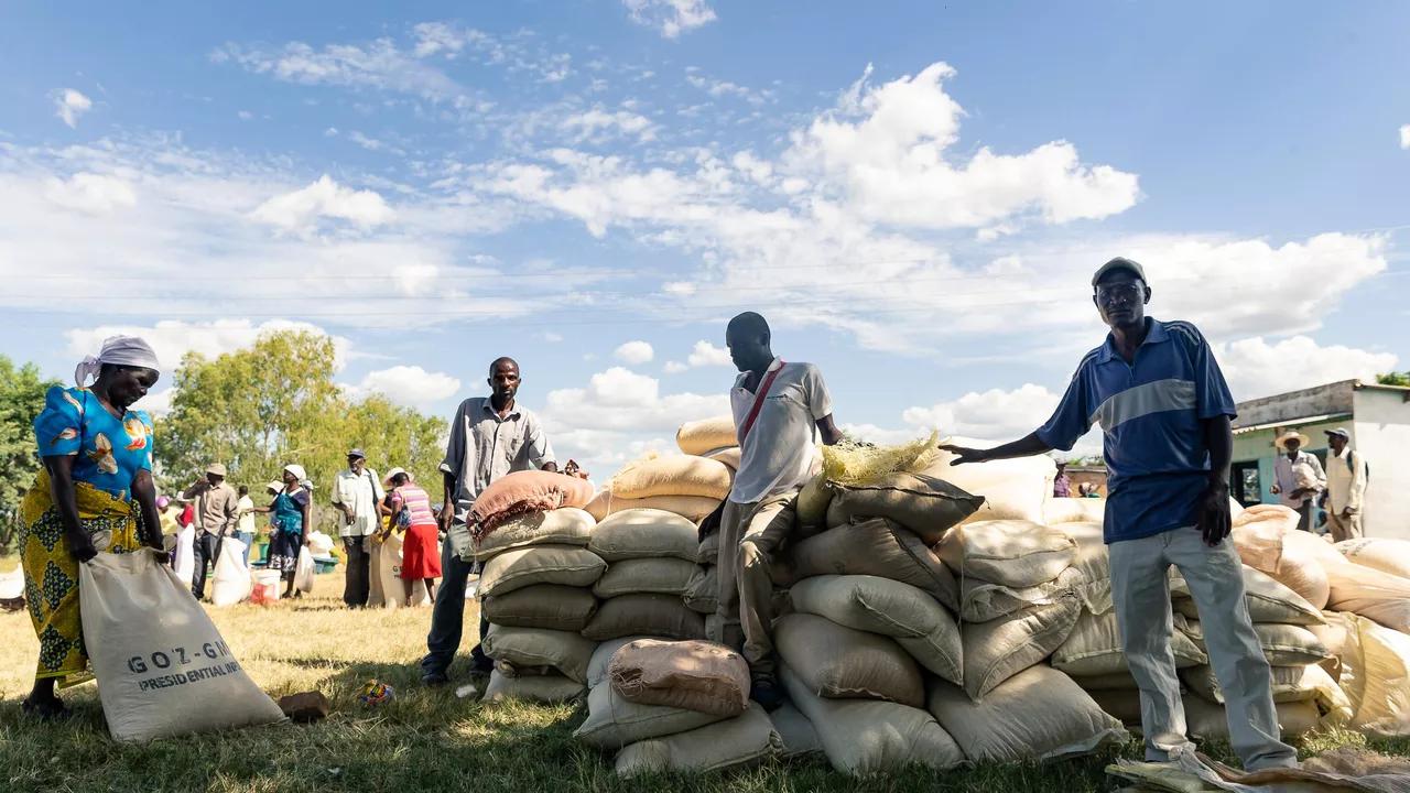 'Independent' Supply Chain Needed to Boost Russian Agricultural Exports to Africa, Expert Says 'Independent' Supply Chain Needed to Boost Russian Agricultural Exports to Africa, Expert Says