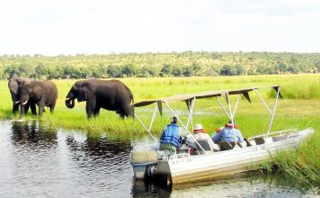 BDF again accused of bullying Namibians along Chobe BDF again accused of bullying Namibians along Chobe