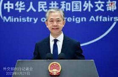 China will continue to help Africa with no political strings attached: Chinese FM China will continue to help Africa with no political strings attached: Chinese FM