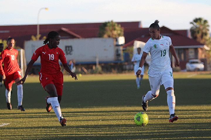 Gladiators aim for a good start Gladiators aim for a good start