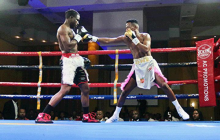 Boxers in good shape – Moses...as bonanza draws closer Boxers in good shape – Moses...as bonanza draws closer