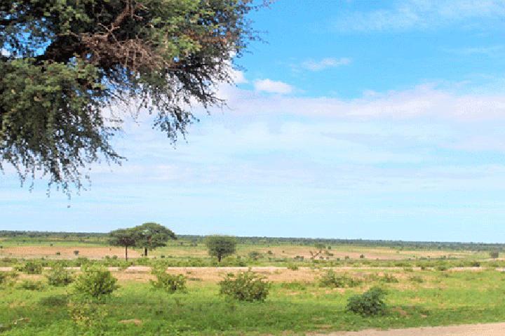 Public warned against farmland grabbing Public warned against farmland grabbing