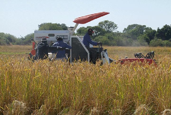 Ailing Kalimbeza gets N$8m resuscitation Ailing Kalimbeza gets N$8m resuscitation