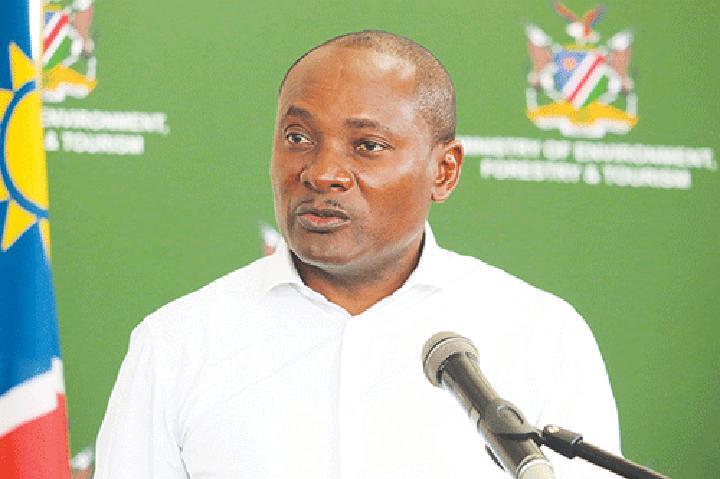 Namibia records decrease in rhino poaching Namibia records decrease in rhino poaching