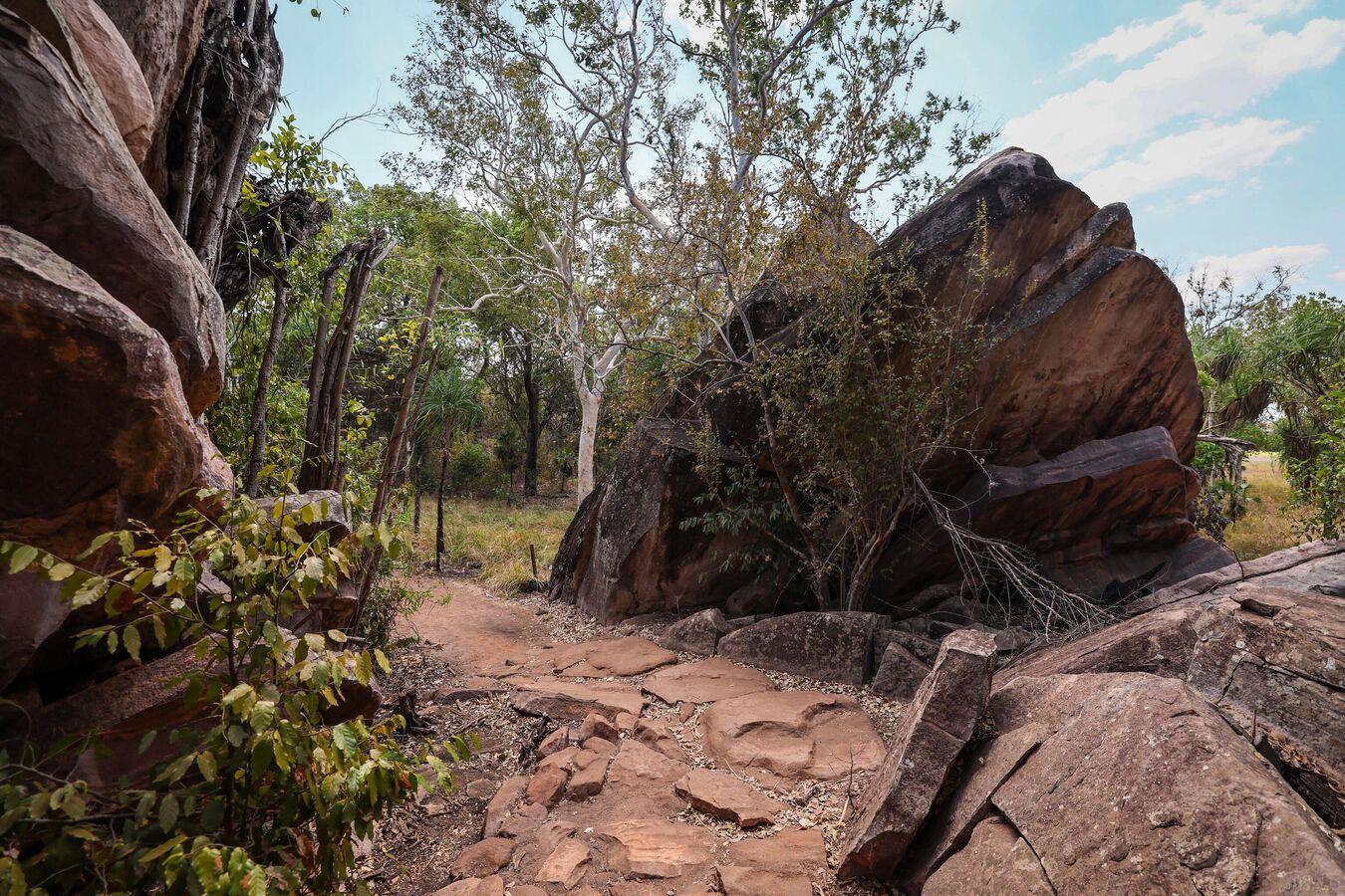 Rare Traces of Earth's Primordial Crust Lurk in Australia's Ancient ...