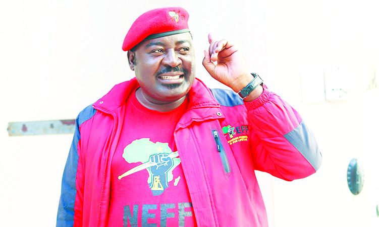 NEFF promises N$4 400 monthly grant for war veterans and increased social support in party manifesto NEFF promises N$4 400 monthly grant for war veterans and increased social support in party manifesto