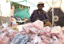 Havana has mixed feelings ahead of polls Havana has mixed feelings ahead of polls