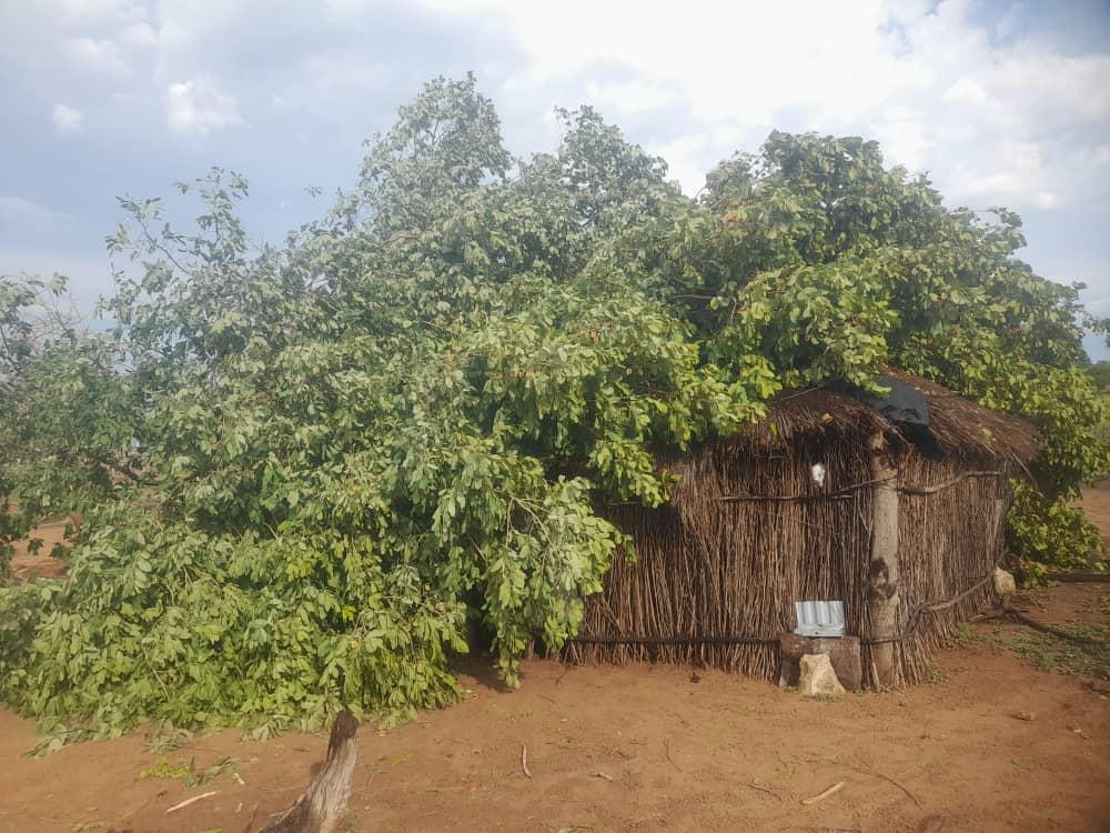 Storm destroys eight Kavango West homesteads Storm destroys eight Kavango West homesteads