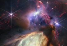 Can a Rogue Star End Planet Earth as We Know It Can a Rogue Star End Planet Earth as We Know It