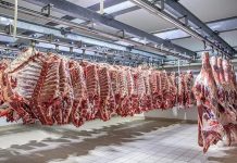 Namibia beef, charcoal exports face new EU forest rules Namibia beef, charcoal exports face new EU forest rules