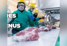 Namibian beef expands market reach in Germany Namibian beef expands market reach in Germany