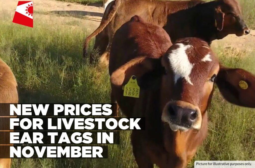 Ear Tag Prices Set to Rise in November Ear Tag Prices Set to Rise in November