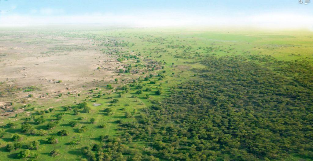 Namibia Advances Great Green Wall Initiative in SADC Namibia Advances Great Green Wall Initiative in SADC
