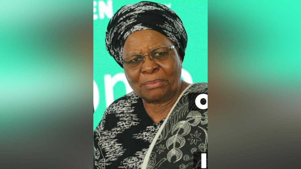 President Nandi-Ndaitwah Reviews Visa Regime for Investors President Nandi-Ndaitwah Reviews Visa Regime for Investors