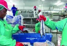 RMB says Namibia’s growth ‘stuck in neutral’ RMB says Namibia’s growth ‘stuck in neutral’