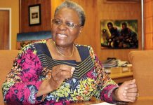 The rise and reign of NNN The rise and reign of NNN