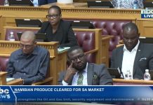 Namibia Lifts Horticulture Export Ban to South Africa Namibia Lifts Horticulture Export Ban to South Africa