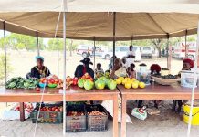 Namibia marks World Food Day Namibia marks World Food Day