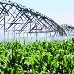 Hardap green scheme to grow by 50 hectares Hardap green scheme to grow by 50 hectares