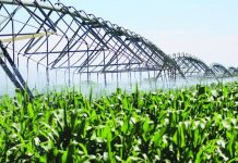 Hardap green scheme to grow by 50 hectares Hardap green scheme to grow by 50 hectares