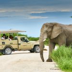 NWR records N$68.3m profit NWR records N$68.3m profit