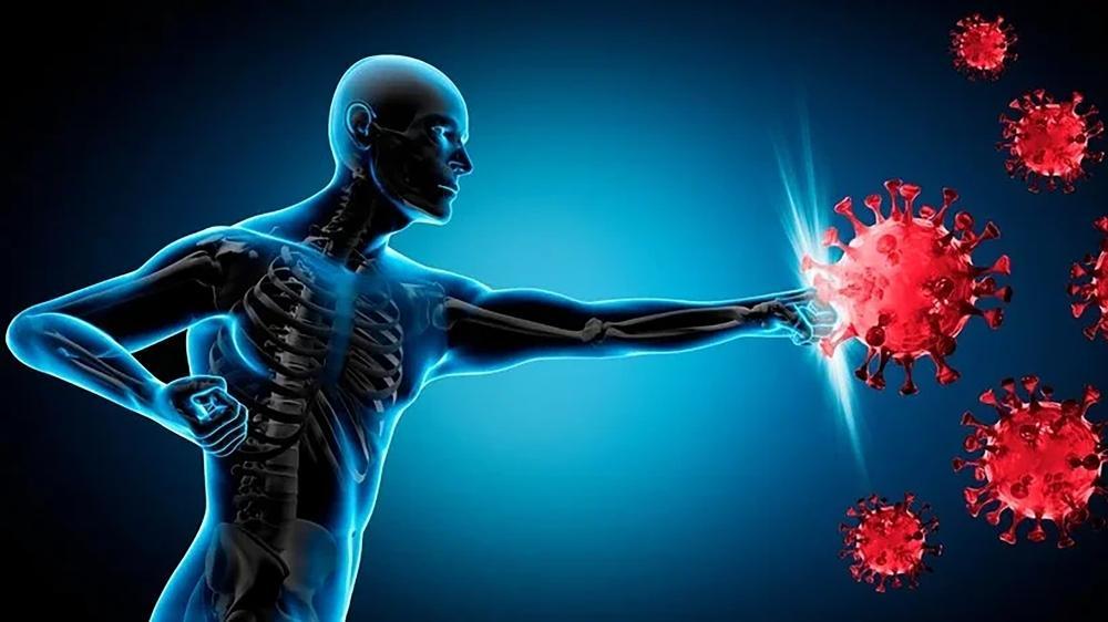 Boost Your Immunity: A Guide to Fighting Disease Boost Your Immunity: A Guide to Fighting Disease