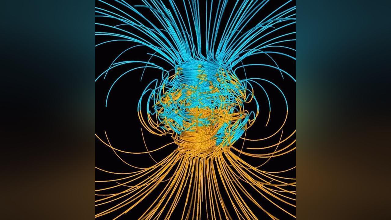 Geoinformatics and Survival During Geomagnetic Pole Flip Geoinformatics and Survival During Geomagnetic Pole Flip