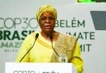 Namibia seeks N$270 billion to meet climate targets by 2030 Namibia seeks N$270 billion to meet climate targets by 2030