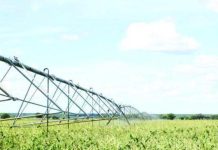 Green schemes spend 35% of revenue on electricity Green schemes spend 35% of revenue on electricity