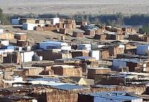 Aussenkehr grape farm workers live in hazardous conditions Aussenkehr grape farm workers live in hazardous conditions