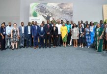 Africa Day at COP30: Sustainable Financing for Resilience Africa Day at COP30: Sustainable Financing for Resilience