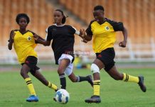 Desert Foxes promoted to Women Super League Desert Foxes promoted to Women Super League