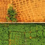 Securing Africa’s Future Through Resilient Food Energy Securing Africa's Future Through Resilient Food Energy