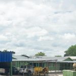 No arrests yet for Katima Mulilo break-ins No arrests yet for Katima Mulilo break-ins