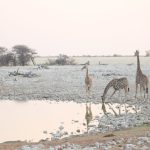 NTB wins 2025 Lonely Planet Award NTB wins 2025 Lonely Planet Award