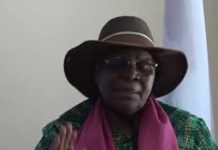 Grape Growers Highlight Export Restrictions Impact Grape Growers Highlight Export Restrictions Impact