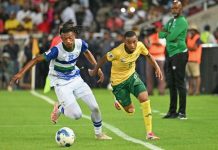 SA Coach Broos Selects 17 Local Stars for Afcon SA Coach Broos Selects 17 Local Stars for Afcon