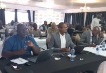 Energy Costs Threaten Namibia’s Green Initiatives Energy Costs Threaten Namibia's Green Initiatives