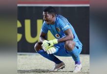 Virgil Vries’ new chapter after retirement Virgil Vries’ new chapter after retirement