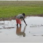 Kavango West makes progress on water provision Kavango West makes progress on water provision