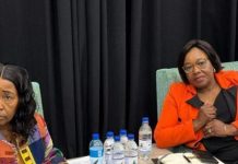 Fisheries Contribution to GDP Expected to Reach N$10.7 Billion Fisheries Contribution to GDP Expected to Reach N$10.7 Billion