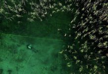 Europe’s Oldest Stilt Village Found at Lake Ohrid Europe's Oldest Stilt Village Found at Lake Ohrid